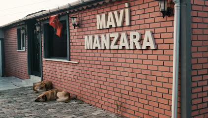 MAVi MANZARA