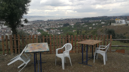 Şehri Seyir Baraka
